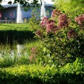 Teich am Pavillon 1